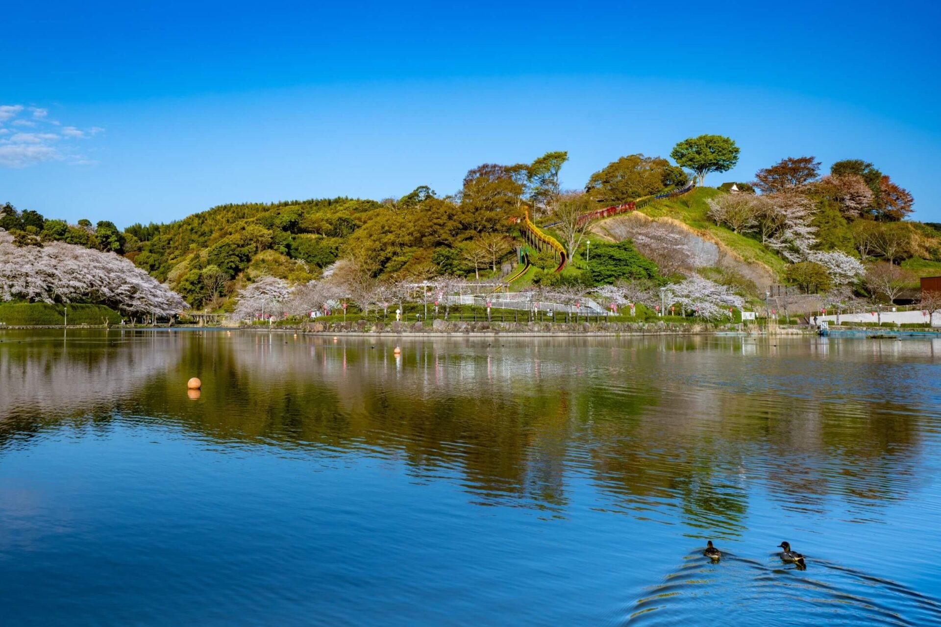 🏞️ 렌게지이케 공원 이미지 1